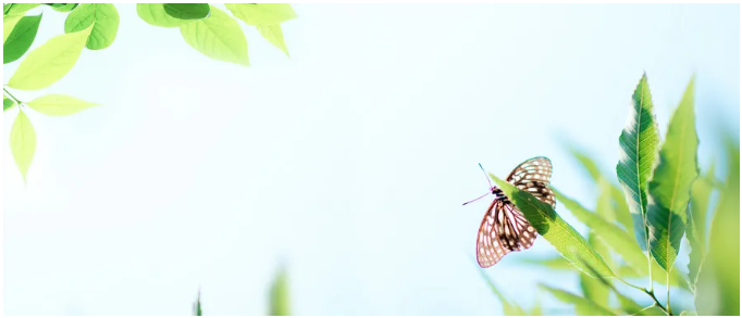 60a1d4eacf963.png image.png