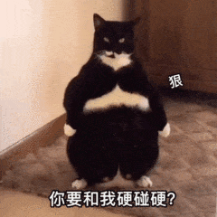 60f5453895753.gif 微信图片_20210719172329.gif