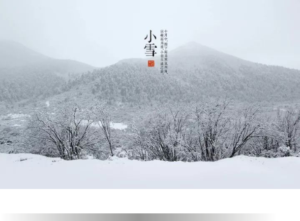 637dcb9287cc4.png image.png