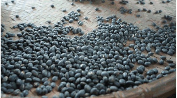 637dcc06e8646.png image.png