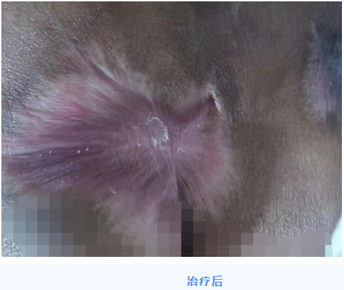 63e0c2cab4622.png image.png