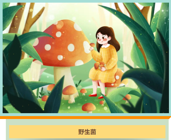 6465f73150a43.png image.png