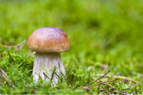 6465f75c4c0e8.png image.png