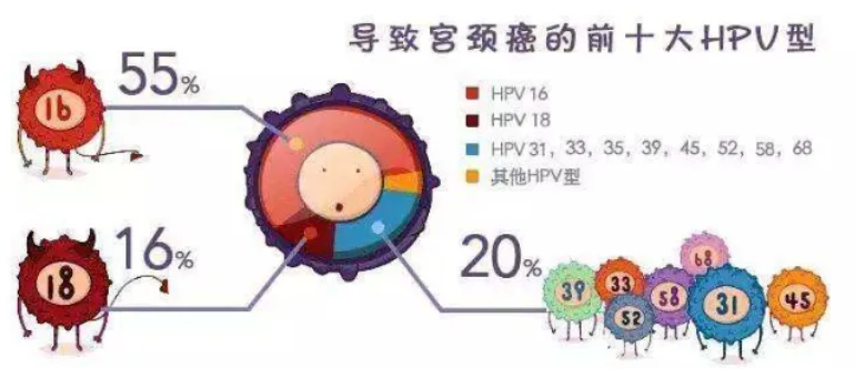 6481d37eb6962.png image.png