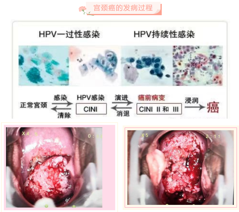 6481d3bb6e673.png image.png