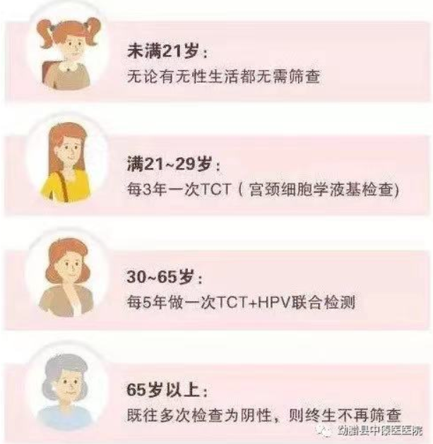 6481d42a40c2f.png image.png