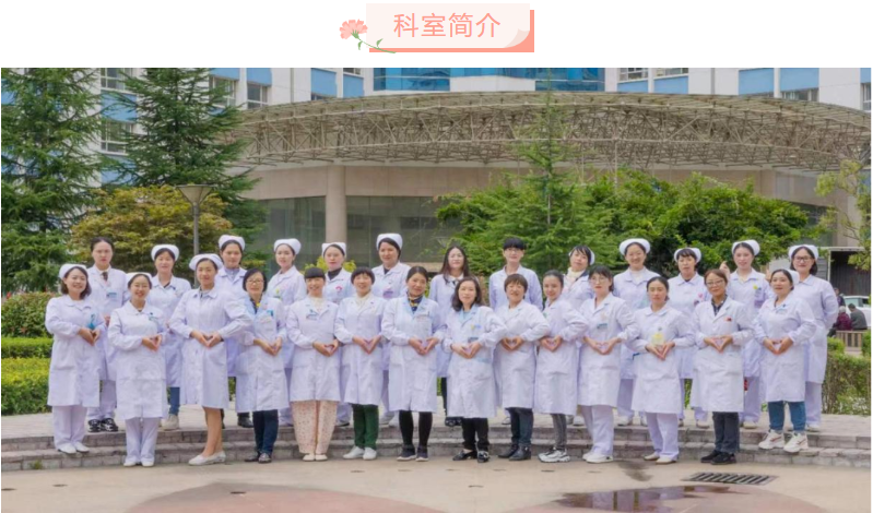 6481d46c390f9.png image.png