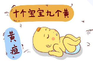 64aa8766e26b9.png image.png