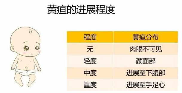 64aa8793d2cc6.png image.png