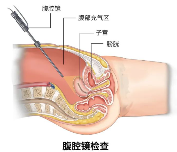 64ddcc33e73d5.png image.png