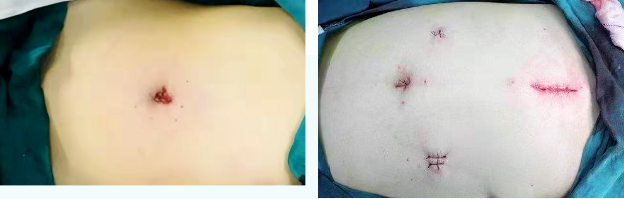 64ddcd16119ca.png image.png