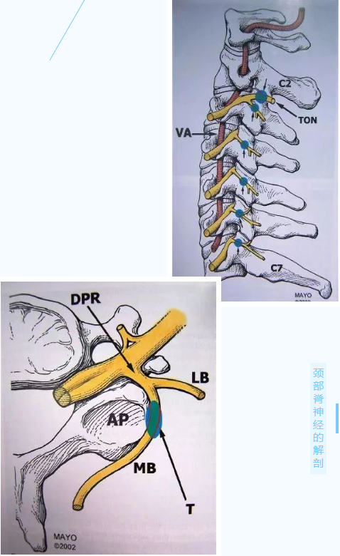 64ddcf93c0b65.png image.png