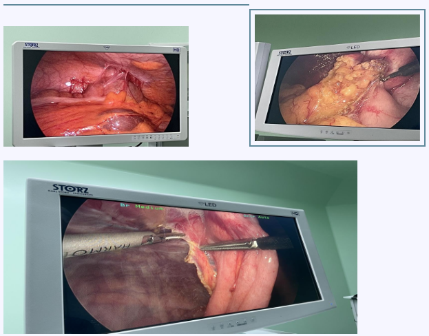 64dddab0cc4e2.png image.png