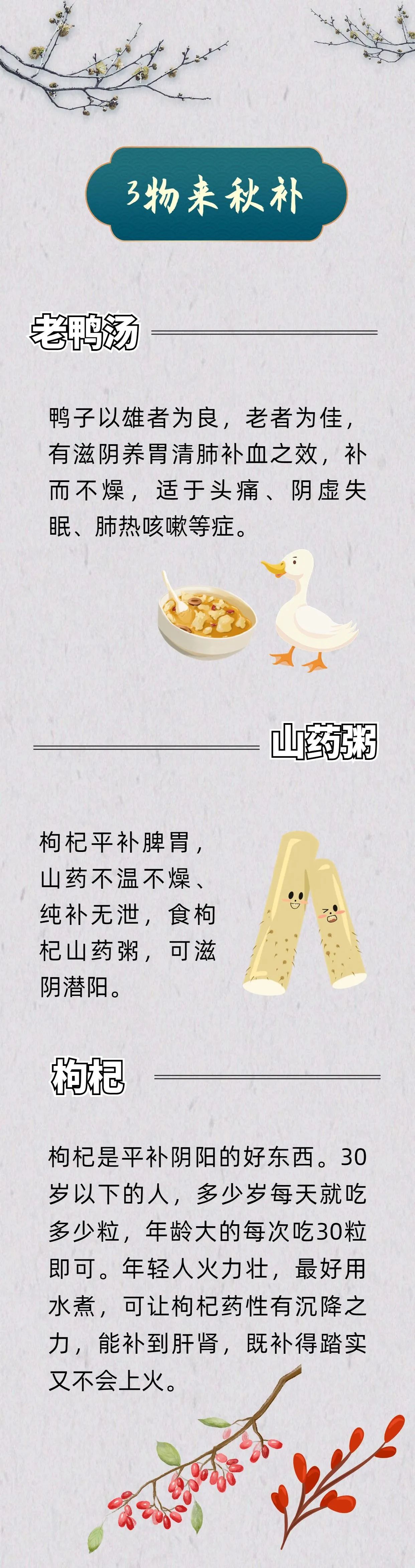 64df1543c0187.jpg 3.jpg