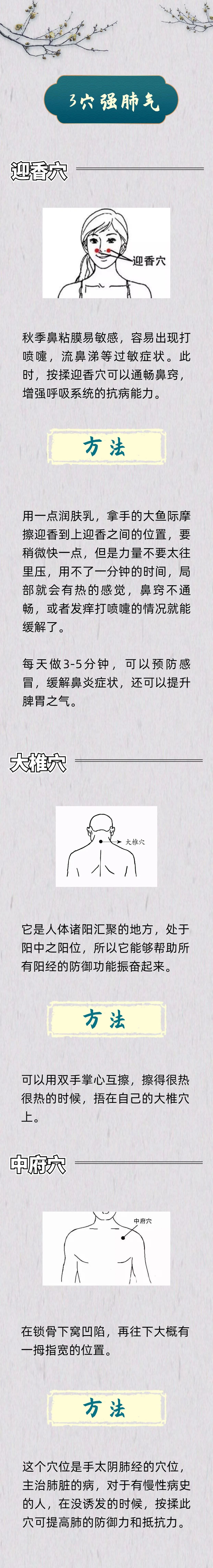 64df15e26d4f6.jpg 6.jpg