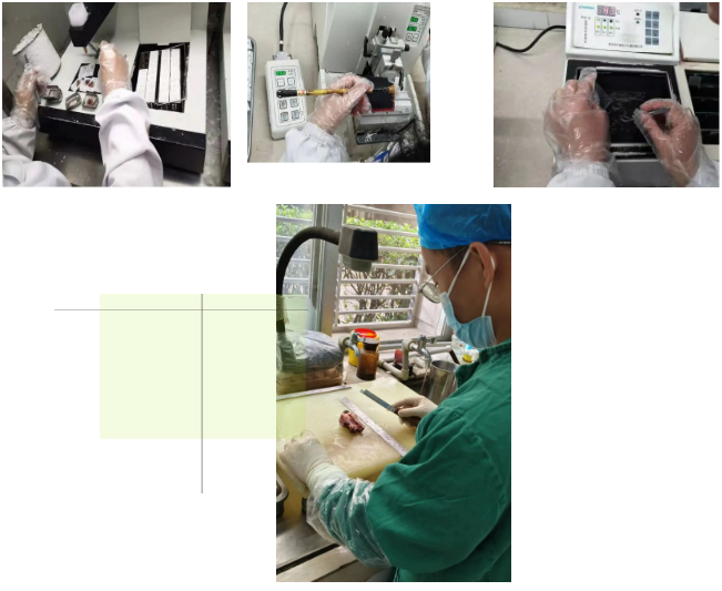 64e4614d48103.png image.png