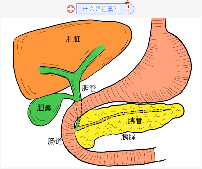 6518214ab991e.png image.png