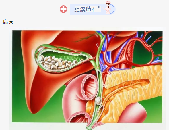 65182160c5433.png image.png