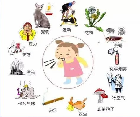 6531e0697e6fc.png image.png