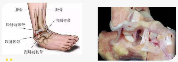 653fcce914370.png image.png