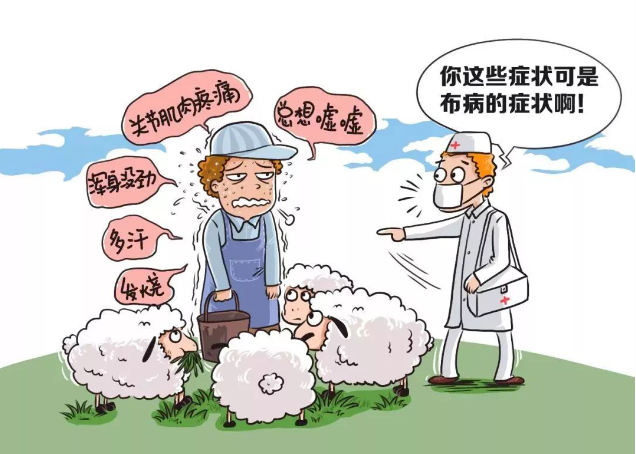 655484aeba63e.png image.png