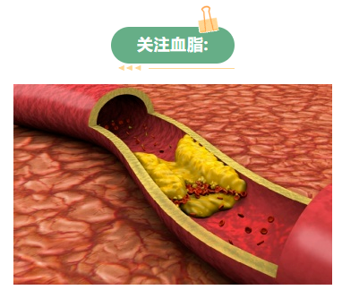 6555cccc123f0.png image.png