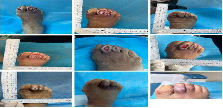 65d3f8a56ddd1.png image.png