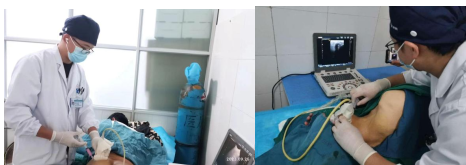 65d55b0296530.png image.png